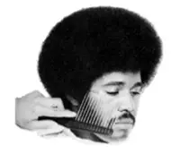 Afro Haircut - The Bad Fads Museum